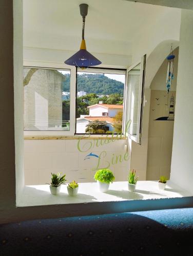 Casa dos Golfinhos