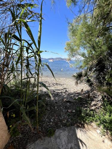 Maisonnette les pieds dans l'eau Presqu'ile de Giens
