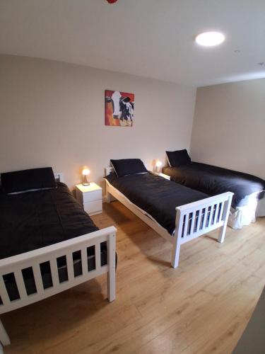 a bedroom with two beds and two lamps in it at Ambassador House in Carrick on Shannon
