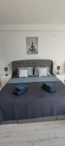 Duna Panorama -two-bedroom apartment with terraceにあるベッド
