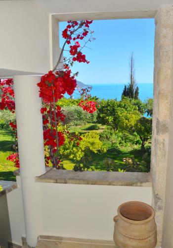 a window with red flowers in a window sill at Lemoni Apartments in Pelekas