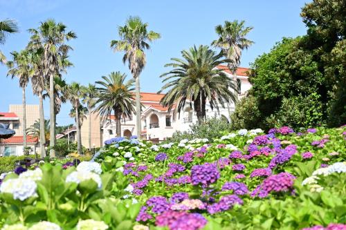a garden of flowers with palm trees in the background at Jennyville Pension in Seogwipo