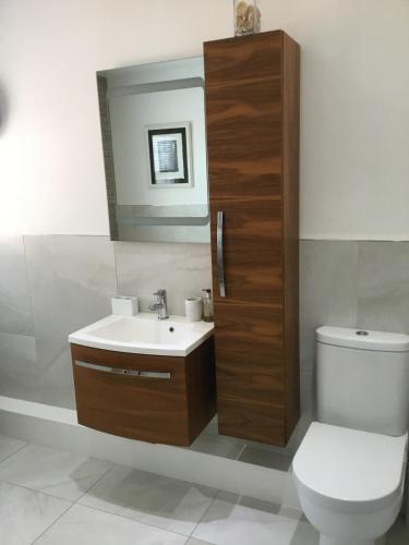 a bathroom with a sink and a toilet and a mirror at Lady Hill, Royal Hillsborough in Hillsborough