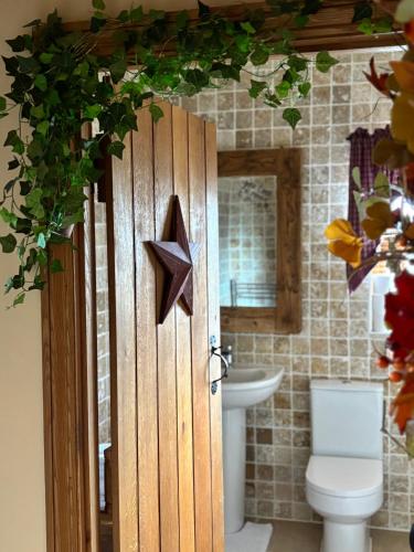 a bathroom with a wooden door with a star on it at Bumbleberry Cottage in Gresford