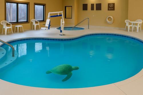 a turtle swimming in a pool in a hotel room at Vista Suites Near Island and Leconte Convention Center in Pigeon Forge