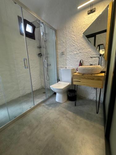 a bathroom with a shower and a toilet and a sink at Luvenza Hotel Alaçatı in Çeşme