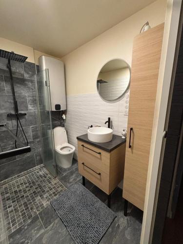 une salle de bain avec un lavabo, des toilettes et une douche dans l'établissement Charmante maison 2 ch avec cour, au Grau-du-Roi