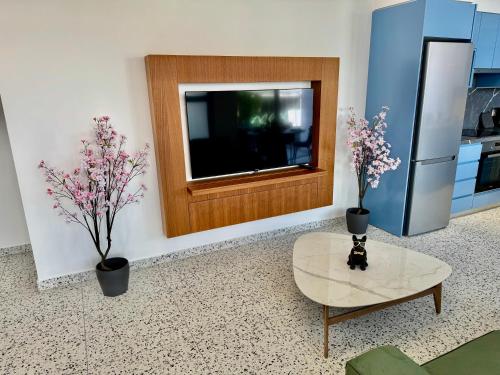 Μια τηλεόραση ή/και κέντρο ψυχαγωγίας στο Luxury Maisonette 200 Meter to Sea