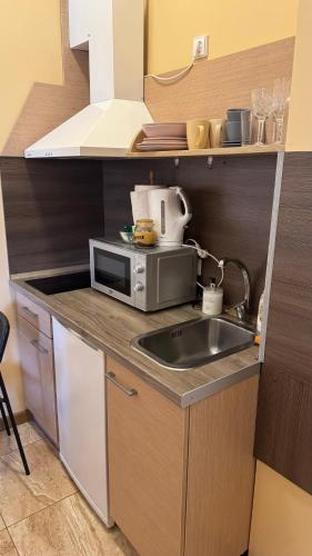 a kitchen with a sink and a microwave at Apartamentai KAVA in Zarasai