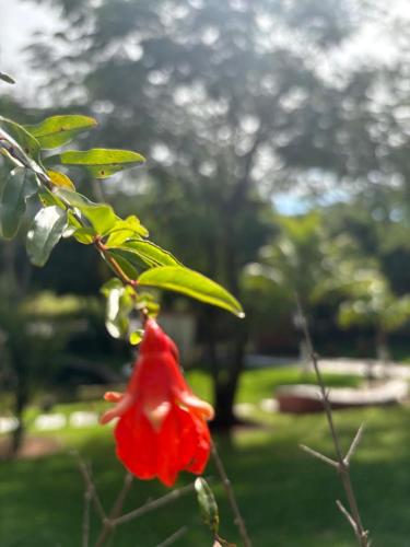 Taman di luar Pousada Duas Marias