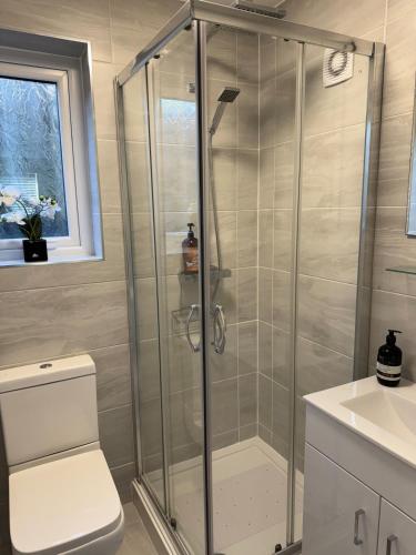 a bathroom with a shower with a toilet and a sink at Modern, Tiny Home, Beach Retreat in Southerndown