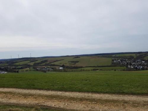 a green field with a town in the distance at Apartment in Bad Camberg near Taunus Mountains in Bad Camberg