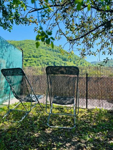 two chairs sitting in the grass under a tree at L'appart avec jardin in Malmerspach