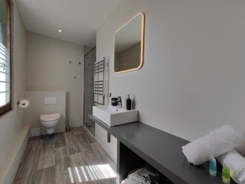 une salle de bain avec un lavabo et des toilettes dans l'établissement Petit Mont Blanc Guest House, à Peisey-Nancroix