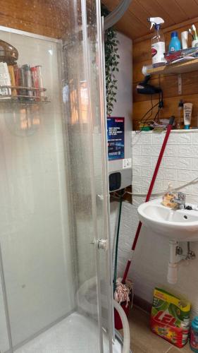 a shower in a bathroom with a sink at Gárdonyi nyaraló 1 in Gárdony
