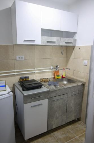 a small kitchen with a sink and a stove at Banja Vrujci Apartmani Nikolic in Popadić