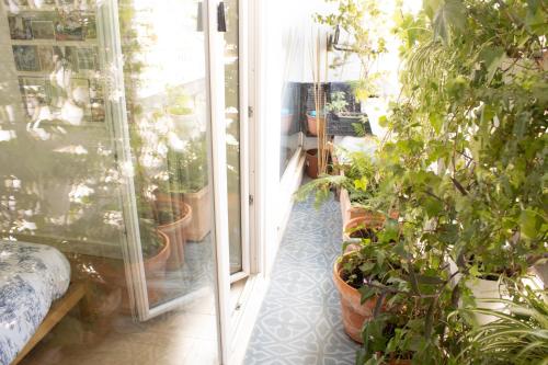 Votre chambre avec salle de bain privée et balcon végétal à Lisbonne Amoreiras - Your Room with private bathroom and balcony in Lisbon Amoreiras