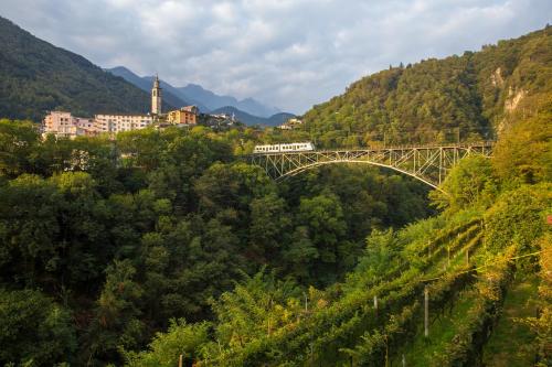 a train is crossing a bridge over a mountain at Ca dal 1785 Centovalli - Happy Rentals in Intragna