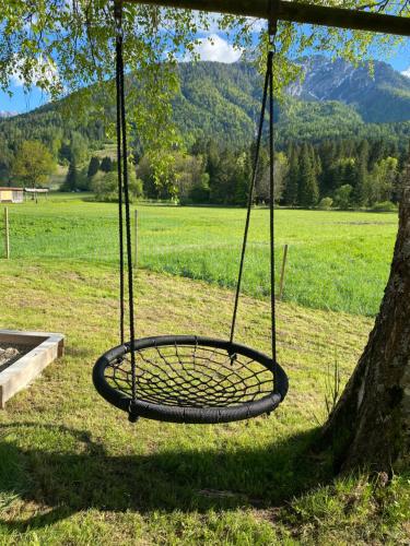 a tire swing hanging from a tree in a field at Apartma Confine in Rateče