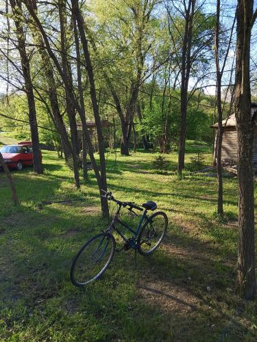 Jízda na kole v ubytování Camping Dobrunvik nebo okolí