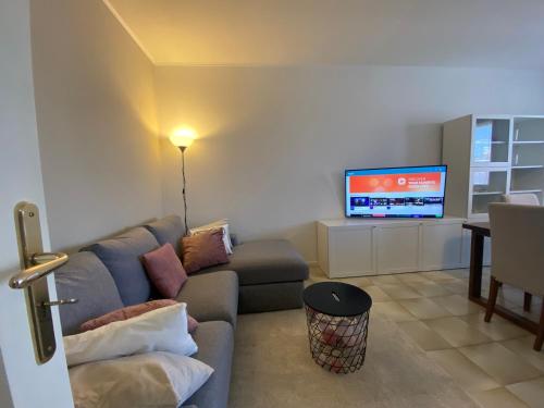 a living room with a couch and a tv at Monticella Haus Apartment in San Vendemiano