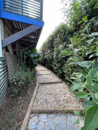 a garden with a walkway next to a building at Loft en Quintero in Quintero