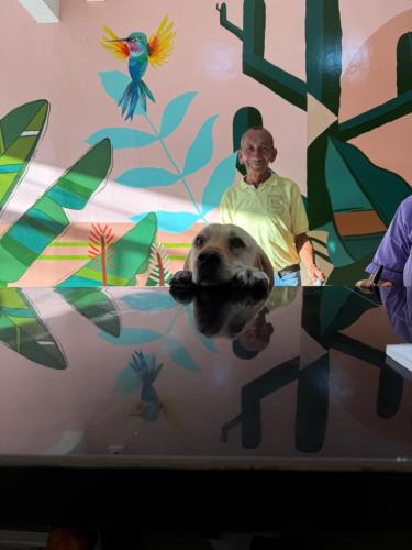 a man standing in front of a table with a dog at Hotel Rosandy Galaxy in Cartagena de Indias