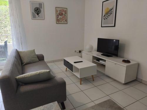 un salon avec un canapé et une télévision dans l'établissement Le cocon d'Elodie, à Belley