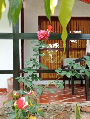 Zahrada ubytování Curitagua Hotel Campestre