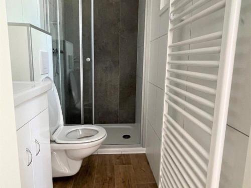 a white bathroom with a toilet and a shower at Chalet in Valthe near Emmen Zoo in Beekbergen