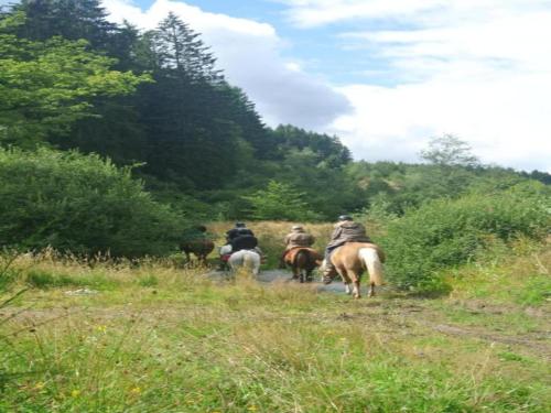 a group of people riding horses down a dirt road at Charming Holiday Home with Private Pool in Hautefort