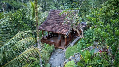 a small house in the middle of a forest at Yoga Maya Villa in Gianyar