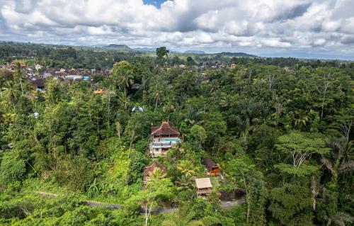 an aerial view of a house in the forest at Yoga Maya Villa in Gianyar