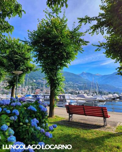 a park bench with a view of a marina at Locarno Center - Free Parking, Netflix and WiFi in Locarno