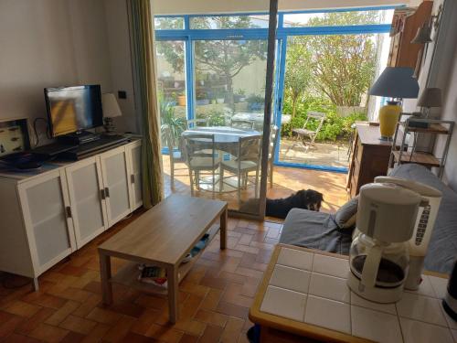 - un salon avec un chien posé sur un canapé dans l'établissement Appartement à Noirmoutier, proche plage, animaux admis, parking - FR-1-823-140, à Noirmoutier-en-l'lle