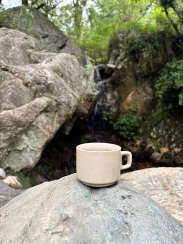 Fotografie z fotogalerie ubytování The Cozy Cabin, Jibhi v destinaci Banjār