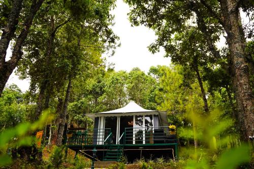 a gazebo in the middle of a forest at 2 Luxury Tents in Majkhali- Chinar & Apricot in Chaubattia