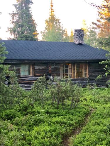 a log cabin with a black roof in the woods at Villa Karhunkehto in Luosto