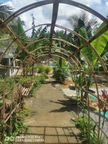 a garden with a metal archway in a garden at Jungle in San Francisco