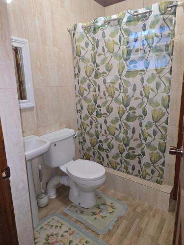 a bathroom with a toilet and a shower curtain at Historic Manor in Bridgetown