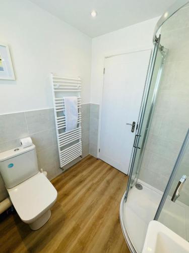 a bathroom with a toilet and a shower at Moogara in Gorran Haven