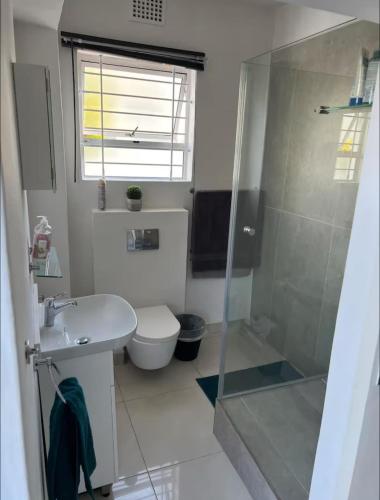 a bathroom with a shower and a sink and a toilet at Cape Town Apartment, Sea View in Cape Town