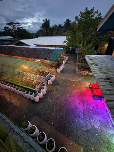 an overhead view of a greenhouse with colored lights at Olivier in Butuan