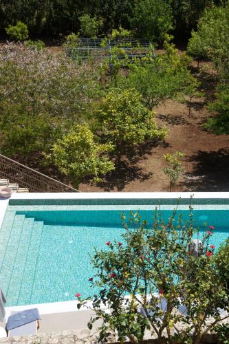 an overhead view of a swimming pool in a garden at Magnolia Apartments in Fiskardho