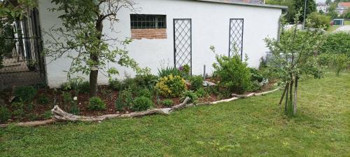 a garden with a fallen tree in front of a house at Apartment Helga in Neulengbach