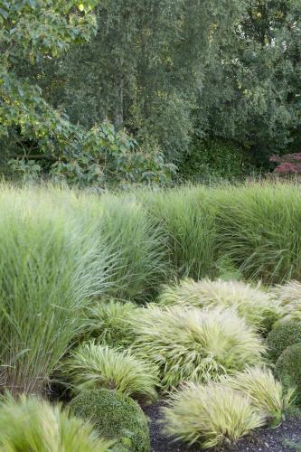 Ein Garten an der Unterkunft B&B Au Grenier