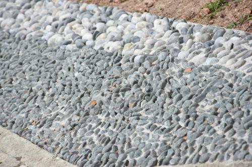 a bunch of birds sitting on a sidewalk at Steps Garden Resort in Negombo