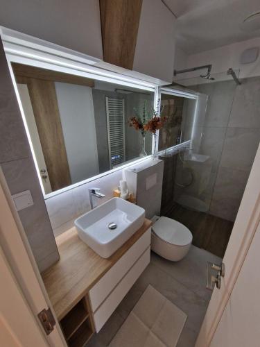 a bathroom with a sink and a toilet and a mirror at Central 17 in Târgu-Mureş
