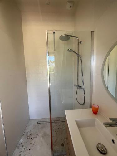 une salle de bain avec douche et lavabo dans l'établissement STUDIO Vue Mer plage immédiate, à Saint-Gildas-de-Rhuys