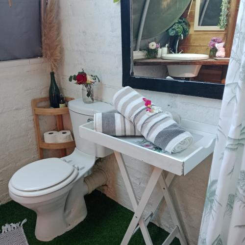a bathroom with a toilet and a sink and a mirror at The Jolly Joint Clarens in Clarens